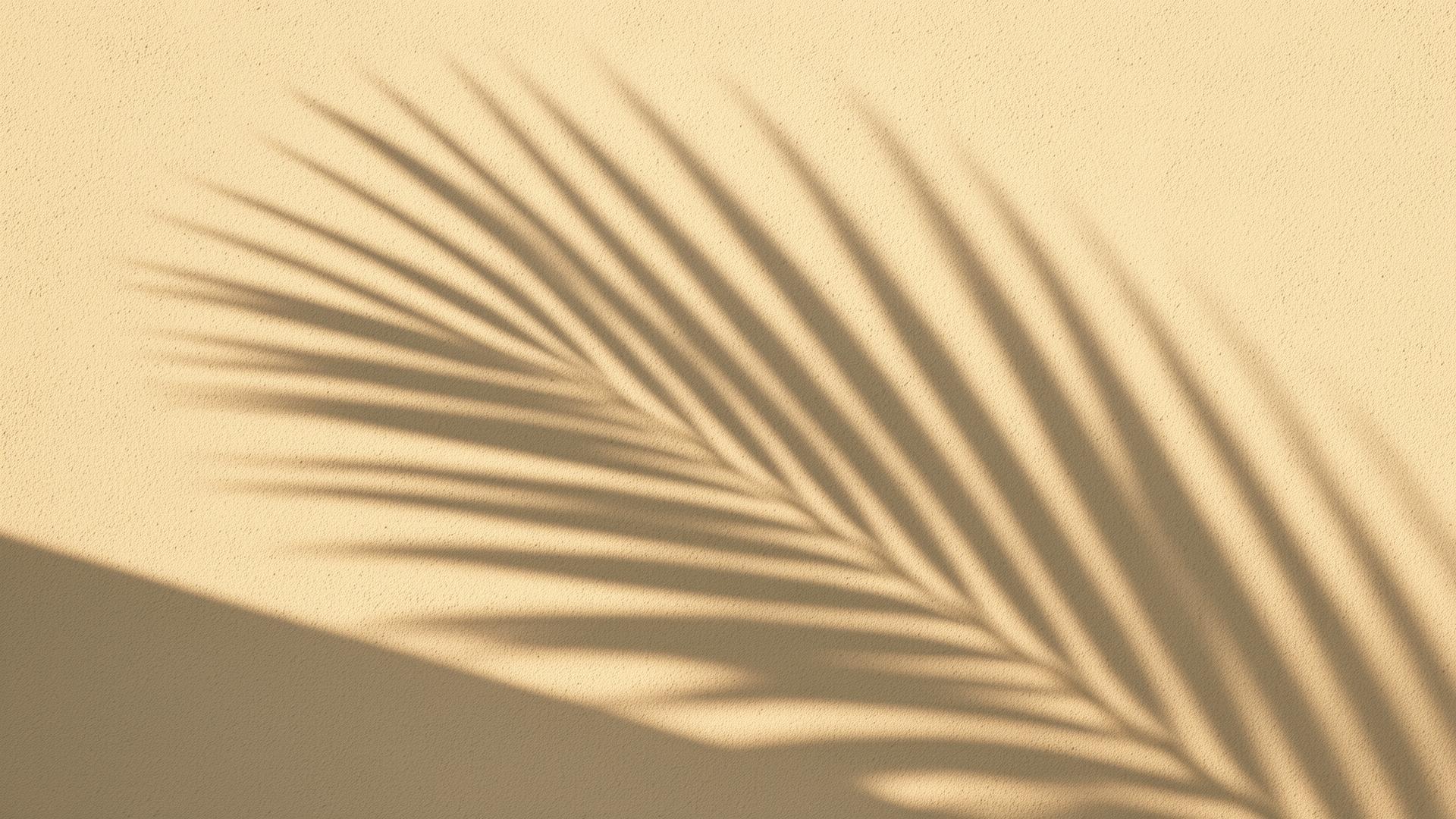 Soft palm shadow on a warm plaster wall above a travertine bench